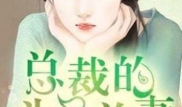 黑总前妻最新爆料小说,揭开豪门背后的惊天秘密