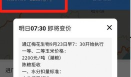 东北最新爆料消息,揭秘神秘事件背后的惊人真相