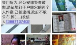 演员爆料云南诈骗案件最新,揭秘犯罪团伙黑幕