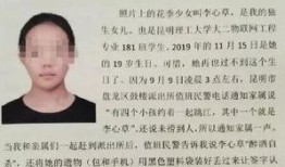 演员爆料云南诈骗案件最新,揭秘犯罪团伙黑幕