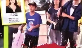 最新爆料洪欣事件,揭秘背后惊人真相