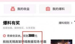 海安头条最新爆料,揭秘最新热点事件内幕