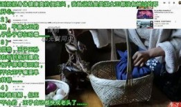 李子柒最新评价外网爆料,田园生活新风尚，网友热议不已