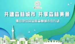 珠江爆料新闻最新消息,聚焦时事热点，揭秘事件真相